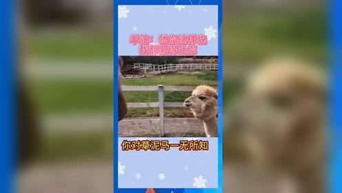 娱乐吃瓜群众分享,揭秘明星幕后故事